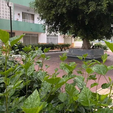 Apartment Detail Rose Puerto de la Cruz (Tenerife)