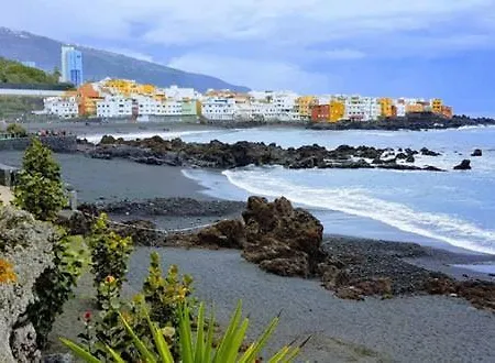 Detail Rose Apartmán Puerto de la Cruz (Tenerife)